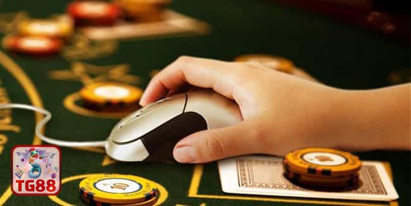 Giấy Phép Hoạt Động TG88 - Phạm vi phát triển rõ ràng