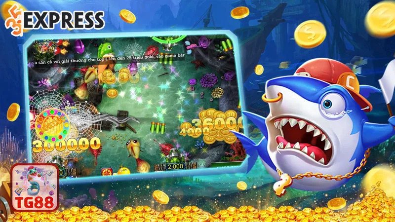 Bắn cá TG88 - Thiết lập ban đầu để “ấm tay” nhanh