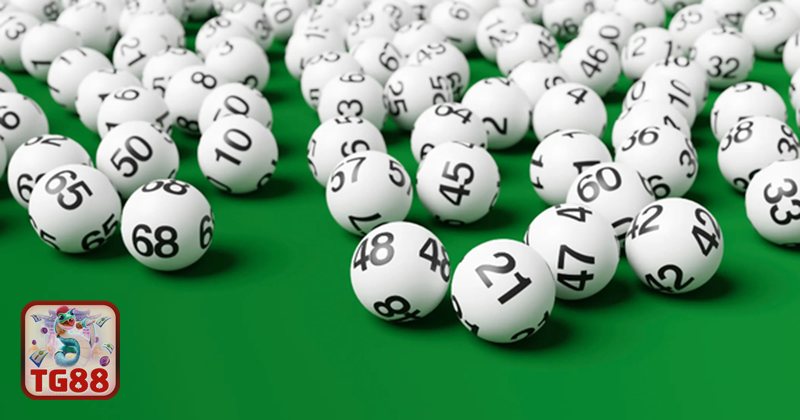 Xổ Số Miền Nam - Xổ Số Miền Nam TG88 có gì nổi bật? Xổ Số Miền Nam - Xổ Số Miền Nam TG88 có gì nổi bật?